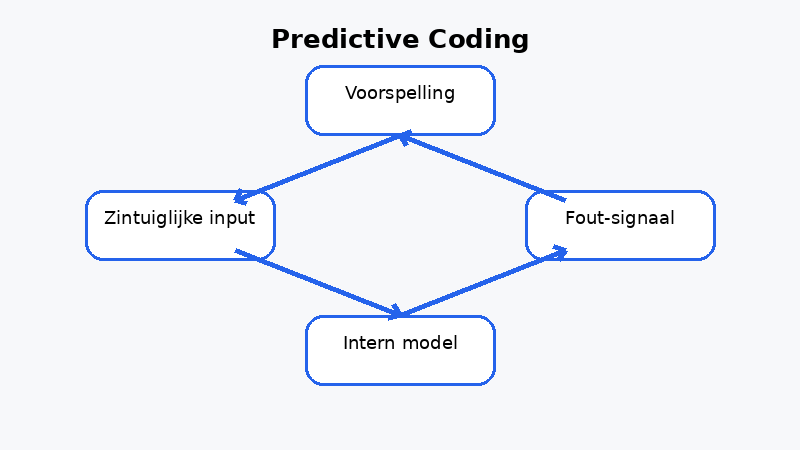 Bewustzijn en perceptie
