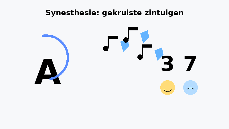 Synesthesie uitleg